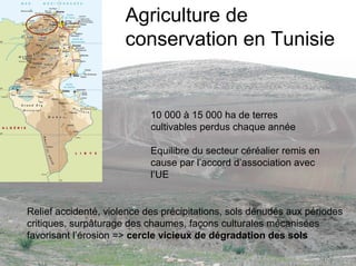 Fatale desertification