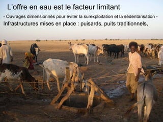 Fatale desertification