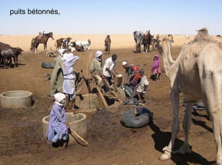 Fatale desertification