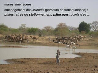 Fatale desertification