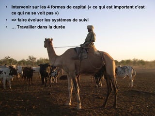 Fatale desertification