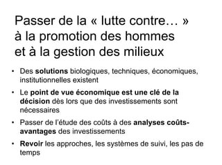 Fatale desertification