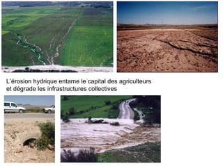 Fatale desertification