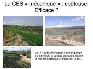 Fatale desertification