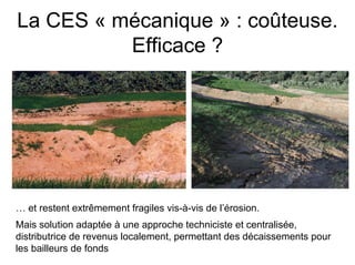 Fatale desertification