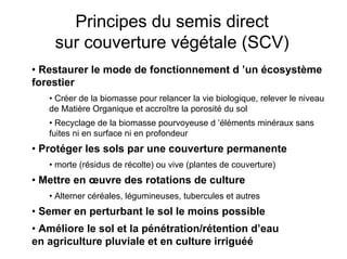 Fatale desertification