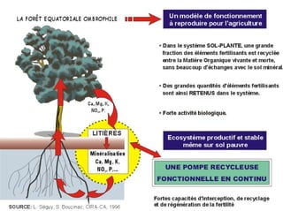 Fatale desertification