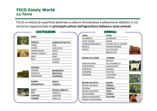 FICO Eataly WorldFICO Eataly World
La TerraLa Terra
Più di un ettaro di superficie destinato a colture dimostrative e allevamenti didattici in cui
verranno rappresentate le principali cultivar dell’agricoltura italiana e razze animali.
ORTO
CEREALI:
FARRO
AVENA
GRANO DURO
GRANO TENERO
MAIS
SUINI: OVINI:
CALABRESE ALTAMURA
CINTA SENESE SARDA
MORA ROMAGNOLA PECORE DELLE LANGHE
BIANCO SOPRAVVISSANA
GRIGIO LAUTICAUDA
BAGNOLESE
ALBERI DA FRUTTO:
FICO
ALBICOCCO
PESCO
MELO
PERO
6
MAIS
RISO
AGRUMI:
LIMONE
ARANCIO
MANDARINI
PIANTE
AROMATICHE
OLIVI
VITI
LUPPOLO
CANAPA
BOVINI DA CARNE: CAPRINI:
MARCHIGIANA
BIONDA
DELL’ADAMELLO
PIEMONTESE CAMOSCIATA
PODOLICA SAANEN
CHIANINA MALTESE
RENDENA CILENTANA
CIOCIARA
BOVINI DA LATTE: EQUINI
BRUNA ITALIANA CONIGLI
FRISONA FARAONE
ROSSA REGGIANA OCHE
VALDOSTANA CONIGLI
BIANCA MODENESE TACCHINI
GRIGIO ALTOATESINA
PERO
CILIEGIO
SUSINO
MANDORLO
NOCCIOLO
CASTAGNO
PRATO
FIORITO
PICCOLI ARBUSTI:
FRAGOLE
LAMPONI
MIRTILLO
 