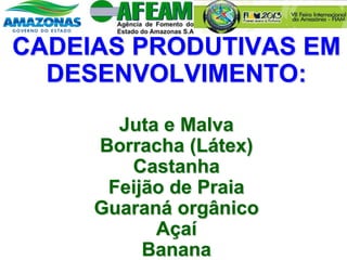 CADEIAS PRODUTIVAS EM
DESENVOLVIMENTO:
Juta e Malva
Borracha (Látex)
Castanha
Feijão de Praia
Guaraná orgânico
Açaí
Banana
 