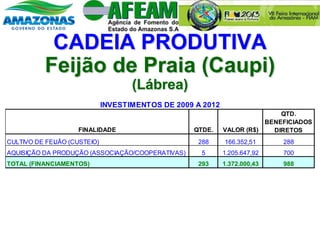 CADEIA PRODUTIVA
Feijão de Praia (Caupi)
(Lábrea)
FINALIDADE QTDE. VALOR (R$)
QTD.
BENEFICIADOS
DIRETOS
CULTIVO DE FEIJÃO (CUSTEIO) 288 166.352,51 288
AQUISIÇÃO DA PRODUÇÃO (ASSOCIAÇÃO/COOPERATIVAS) 5 1.205.647,92 700
TOTAL (FINANCIAMENTOS) 293 1.372.000,43 988
INVESTIMENTOS DE 2009 A 2012
 