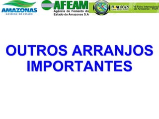 OUTROS ARRANJOS
IMPORTANTES
 