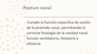 Afecciones del septum nasal  Slide 5