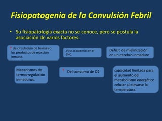 Fisiopatogenia de la Convulsión Febril
• Su fisiopatología exacta no se conoce, pero se postula la
asociación de varios factores:
de circulación de toxinas o
los productos de reacción
inmune.
Virus o bacterias en el
SNC.
Déficit de mielinización
en un cerebro inmaduro
Mecanismos de
termorregulación
inmaduros.
Del consumo de O2 capacidad limitada para
el aumento del
metabolismo energético
celular al elevarse la
temperatura.
 