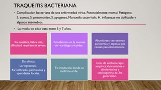 Traqueitis afecciones laringotraqueales, neumologia pediatrica | PPTX
