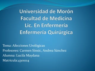 Tema: Afecciones Urológicas 
Profesores: Carmen Sinsic, Andrea Sánchez 
Alumna: Lucila Maydana 
Matricula:43011114 
 