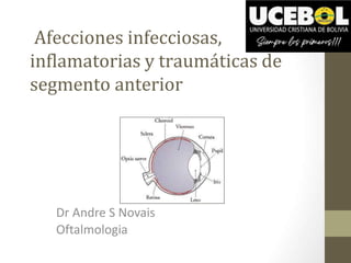 Afecciones infecciosas,
inflamatorias y traumáticas de
segmento anterior
Dr Andre S Novais
Oftalmologia
 