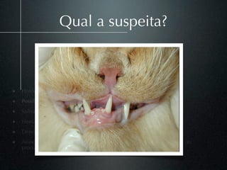 Qual a suspeita?



• Histórico de trauma;
• Possibilidade de fechar a boca
• Salivação
• Hematoma em região de arco glosso-palatino
• Desvio da oclusão (unilateral).
• Associada a outras alterações: ruptura de sínﬁse, fratura de mandíbula ou
    processo coronóide.
 