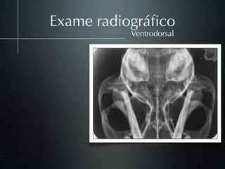 Exame radiográﬁco
           Ventrodorsal
 
