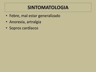 SINTOMATOLOGIA
• Febre, mal estar generalizado
• Anorexia, artralgia
• Sopros cardíacos
 