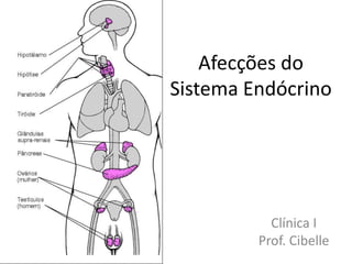 Afecções do
Sistema Endócrino




           Clínica I
         Prof. Cibelle
 