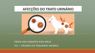AFECÇÕES DO TRATO URINÁRIO
PROFA DRA SAMANTA RIOS MELO
VCI – CIRURGIA DE PEQUENOS ANIMAIS
 