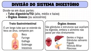 DIVISÃO DO SISTEMA DIGESTÓRIO
Trato Gastrointestinal
É um longo tubo que se estende da
boca ao ânus, composto por:
Divide-se em duas partes:
Tubo digestório/TGI (alto, médio e baixo)
Órgãos Anexos (ou acessórios)
Boca
Faringe
Esôfago
Estômago
Intestinos
Órgãos Anexos
São glândulas e estruturas que auxiliam
na digestão, embora o alimento não
passe por elas diretamente:
Dentes e língua
Glândulas salivares
Fígado
Vesícula Biliar
Pâncreas
 
