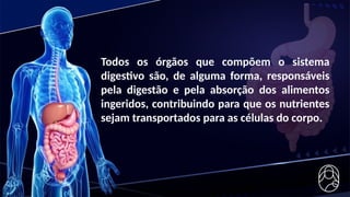 Todos os órgãos que compõem o sistema
digestivo são, de alguma forma, responsáveis
pela digestão e pela absorção dos alimentos
ingeridos, contribuindo para que os nutrientes
sejam transportados para as células do corpo.
 