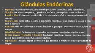 • Hipófise: Situada no cérebro, abaixo do hipotálamo, controlada pelo hipotálamo.
• Tireoide: Localizada no pescoço, produz hormônios que regulam o metabolismo.
• Paratireoides: Estão atrás da tireoide e produzem hormônios que regulam o cálcio no
sangue.
• Suprarrenais: Estão sobre os rins e produzem hormônios que ajudam o corpo a lidar
com o estresse.
• Pâncreas: Está no abdômen e produz insulina e glucagon, que controlam o açúcar no
sangue.
• Glândula Pineal: Está no cérebro e produz melatonina, que ajuda a regular o sono.
• Órgãos Sexuais (Testículos e Ovários): Produzem hormônios sexuais que são essenciais
para o desenvolvimento e função reprodutora.
• Hipotálamo: Pequena região do cérebro que controla a hipófise e outros processos do
corpo.
Glândulas Endócrinas
 