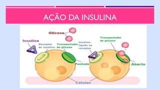 AÇÃO DA INSULINA
 