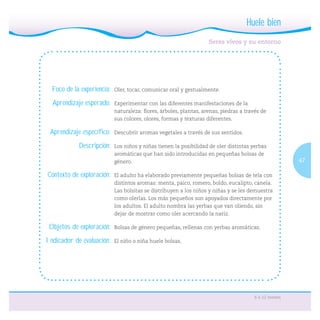 47
6 a 12 meses
Foco de la experiencia: Oler, tocar, comunicar oral y gestualmente.
Aprendizaje esperado: Experimentar con las diferentes manifestaciones de la
naturaleza: ﬂores, árboles, plantas, arenas, piedras a través de
sus colores, olores, formas y texturas diferentes.
Aprendizaje específico: Descubrir aromas vegetales a través de sus sentidos.
Descripción: Los niños y niñas tienen la posibilidad de oler distintas yerbas
aromáticas que han sido introducidas en pequeñas bolsas de
género.
Contexto de exploración: El adulto ha elaborado previamente pequeñas bolsas de tela con
distintos aromas: menta, paico, romero, boldo, eucalipto, canela.
Las bolsitas se distribuyen a los niños y niñas y se les demuestra
como olerlas. Los más pequeños son apoyados directamente por
los adultos. El adulto nombra las yerbas que van oliendo, sin
dejar de mostrar como oler acercando la nariz.
Objetos de exploración: Bolsas de género pequeñas, rellenas con yerbas aromáticas.
Indicador de evaluación: El niño o niña huele bolsas.
Seres vivos y su entorno
Huele bien
 