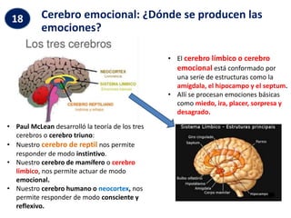 Cerebro emocional: ¿Dónde se producen las
emociones?
18
• Paul McLean desarrolló la teoría de los tres
cerebros o cerebro triuno:
• Nuestro cerebro de reptil nos permite
responder de modo instintivo.
• Nuestro cerebro de mamífero o cerebro
límbico, nos permite actuar de modo
emocional.
• Nuestro cerebro humano o neocortex, nos
permite responder de modo consciente y
reflexivo.
• El cerebro límbico o cerebro
emocional está conformado por
una serie de estructuras como la
amígdala, el hipocampo y el septum.
• Allí se procesan emociones básicas
como miedo, ira, placer, sorpresa y
desagrado.
 