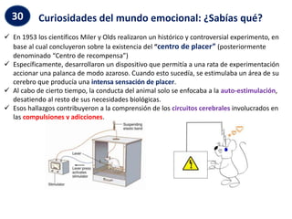  En 1953 los científicos Miler y Olds realizaron un histórico y controversial experimento, en
base al cual concluyeron sobre la existencia del “centro de placer” (posteriormente
denominado “Centro de recompensa”)
 Específicamente, desarrollaron un dispositivo que permitía a una rata de experimentación
accionar una palanca de modo azaroso. Cuando esto sucedía, se estimulaba un área de su
cerebro que producía una intensa sensación de placer.
 Al cabo de cierto tiempo, la conducta del animal solo se enfocaba a la auto-estimulación,
desatiendo al resto de sus necesidades biológicas.
 Esos hallazgos contribuyeron a la comprensión de los circuitos cerebrales involucrados en
las compulsiones y adicciones.
Curiosidades del mundo emocional: ¿Sabías qué?
30
 
