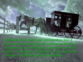 Infelizmente às vezes não percebemos isso e passamos nossa existência colecionando nãos:  a viagem que não fizemos, o presente que não demos, a festa que não fomos, o amor que não vivemos, o perfume que não sentimos. 