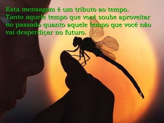Esta mensagem é um tributo ao tempo.  Tanto aquele tempo que você soube aproveitar no passado quanto aquele tempo que você não vai desperdiçar no futuro.  