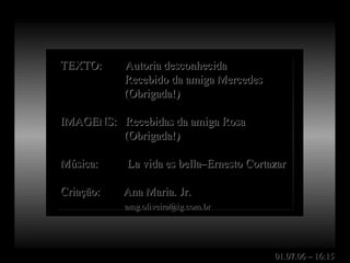 TEXTO:  Autoria desconhecida Recebido da amiga Mercedes (Obrigada!) IMAGENS:  Recebidas da amiga Rosa (Obrigada!) Música:  La vida es bella–Ernesto Cortazar Criação:  Ana Maria. Jr. [email_address] 01.07.06 – 16:15 