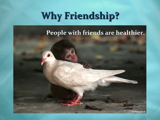 Why Friendship?
 People with friends are healthier.
 