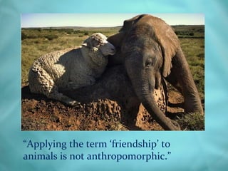 “Applying the term ‘friendship’ to
animals is not anthropomorphic.”
 
