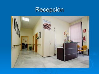 Recepción 