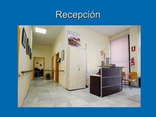 Recepción 