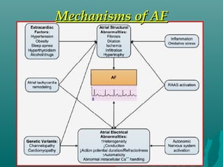 Mechanisms of AFMechanisms of AF
 