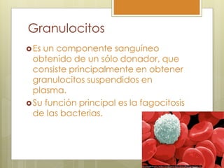 Granulocitos
 Esun componente sanguíneo
  obtenido de un sólo donador, que
  consiste principalmente en obtener
  granulocitos suspendidos en
  plasma.
 Su función principal es la fagocitosis
  de las bacterias.
 