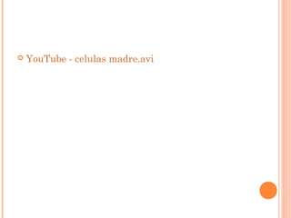    YouTube - celulas madre.avi
 