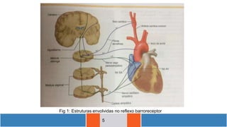 5
Fig 1: Estruturas envolvidas no reflexo barroreceptor
 