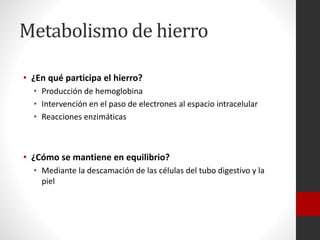 Metabolismo de hierro
• ¿En qué participa el hierro?
• Producción de hemoglobina
• Intervención en el paso de electrones al espacio intracelular
• Reacciones enzimáticas

• ¿Cómo se mantiene en equilibrio?
• Mediante la descamación de las células del tubo digestivo y la
piel

 