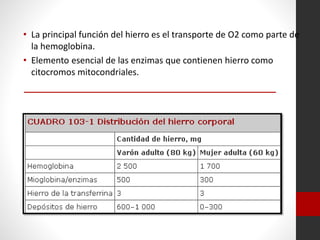 • La principal función del hierro es el transporte de O2 como parte de
la hemoglobina.
• Elemento esencial de las enzimas que contienen hierro como
citocromos mitocondriales.

 