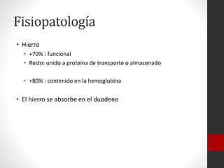 Fisiopatología
• Hierro
• +70% : funcional
• Resto: unido a proteína de transporte o almacenado
• +80% : contenido en la hemoglobina

• El hierro se absorbe en el duodeno

 