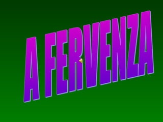 A fervenza 1