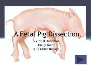 A Fetal Pig Dissection
      A Virtual Dissection
          Emily Jones
      9-12 Grade Biology
 