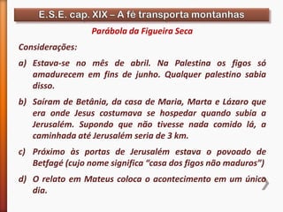 Parábola da Figueira Seca
Considerações:
a) Estava-se no mês de abril. Na Palestina os figos só
amadurecem em fins de junho. Qualquer palestino sabia
disso.
b) Saíram de Betânia, da casa de Maria, Marta e Lázaro que
era onde Jesus costumava se hospedar quando subia a
Jerusalém. Supondo que não tivesse nada comido lá, a
caminhada até Jerusalém seria de 3 km.
c) Próximo às portas de Jerusalém estava o povoado de
Betfagé (cujo nome significa “casa dos figos não maduros”)
d) O relato em Mateus coloca o acontecimento em um único
dia.
 