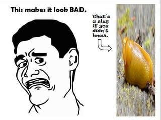 This makes it look BAD.
That’s a
slug if
you
didn’t
know.
 